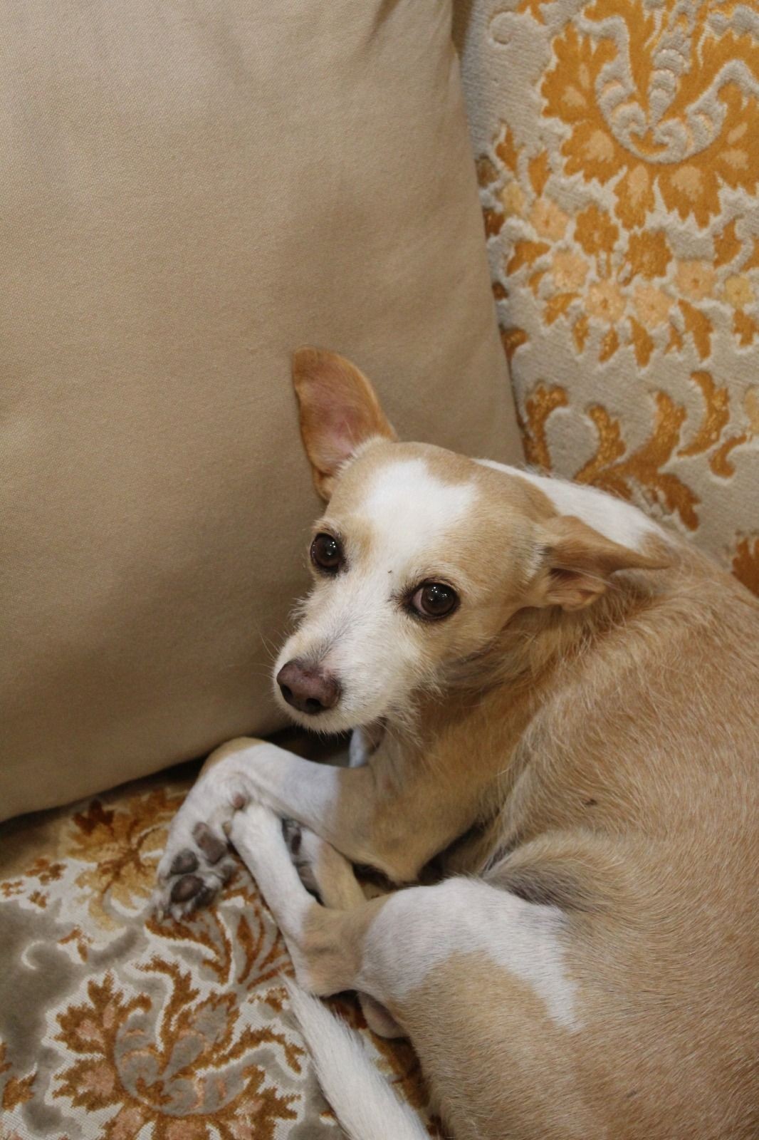 Il Cuore Del Montiblu